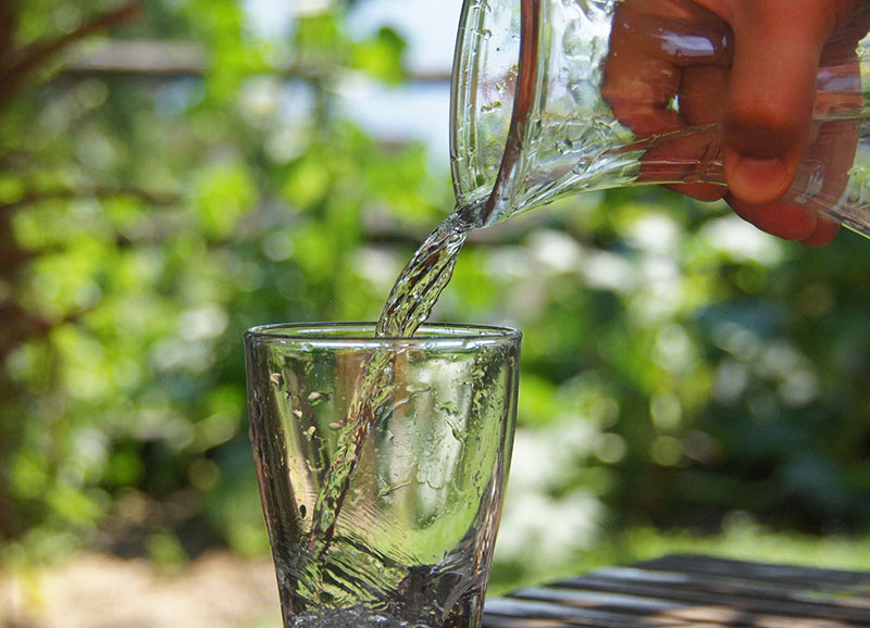  Bere acqua regolarmente è importante, ma va?